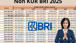 2025: Syarat dan Cara Ajukan Pinjaman BRI Non KUR Rp55 Juta