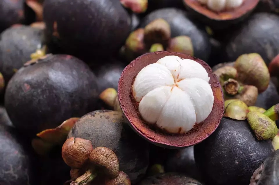 Bolehkah Ibu Hamil Makan Buah Manggis? Temukan Faktanya!