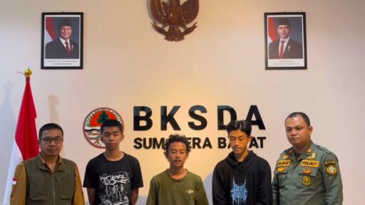 Fakta Pendaki Gunung Marapi Minta Maaf: BKSDA Sumbar Bertindak