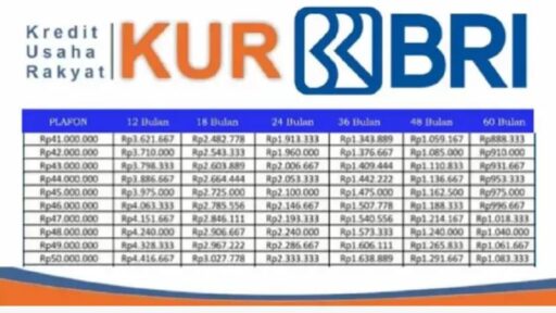 KUR BRI 2025: Pembiayaan Usaha Mudah dengan Cicilan Ringan!