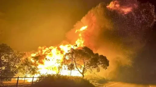 Kebakaran Hebat di Australia Hanguskan Taman Nasional Sebesar Singapura