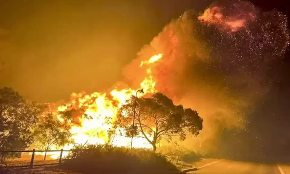 Kebakaran Hebat di Australia Hanguskan Taman Nasional Sebesar Singapura