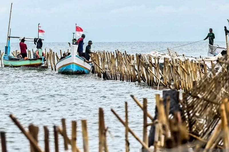 PIK 2 Bantah Isu Pembangunan Pagar Laut, Apa Sebabnya?