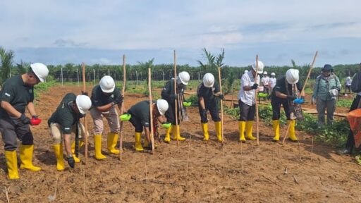 Pemerintah Tetapkan Bintan Sebagai Pusat Pengembangan Padi Gogo