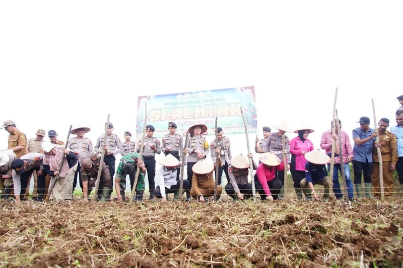 Pemkab-Polres Tanah Datar Bersinergi Tanam Jagung Swasembada Pangan