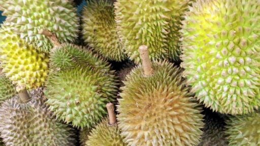 Ribuan Durian Dijarah Usai Kecelakaan, Netizen: Jahat Banget!