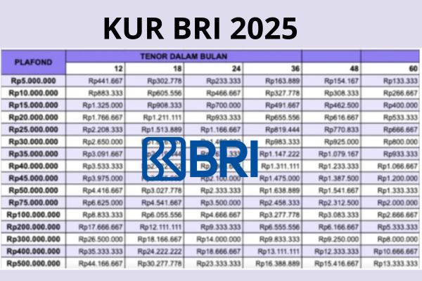 Simak Cara Ajukan Pinjaman KUR BRI 2025 Online hingga Rp50 Juta!