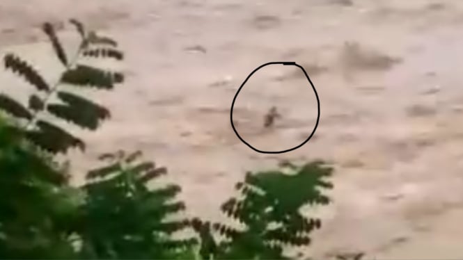 Viral! Detik-detik Warga Hilang Terseret Arus Sungai Cikandang Garut