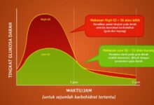 Alternatif Sehat: Gula Ramah untuk Penggemar Cemilan Manis