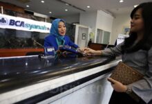 BCA Syariah Raup Laba Rp183,7 Miliar di 2024, Naik 19,5%