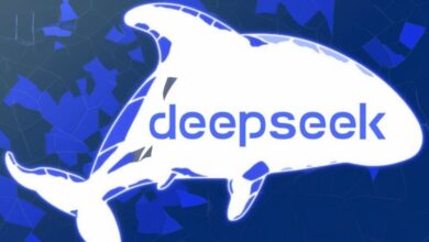 Belanda Larang DeepSeek Digunakan: Temukan Alasannya di Sini!