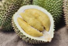 Berapa Batas Aman Makan Durian Sehari? Simak Penjelasan Ahli!