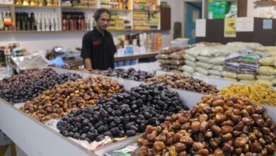 Cara Praktis Membedakan Kurma Ajwa Asli dan Palsu Dengan Mudah