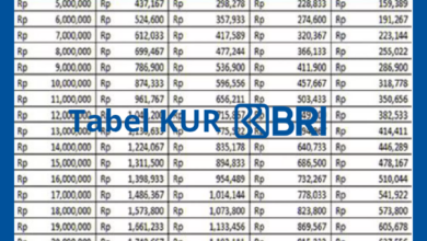 Dapatkan KUR BRI 2025 Rp25 Juta, Bunga 0,5% untuk UMKM!