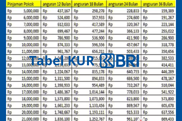 Dapatkan KUR BRI 2025 Rp25 Juta, Bunga 0,5% untuk UMKM!