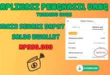 Dapatkan Rp550.000 dalam Sehari dari Aplikasi E-Wallet Terbaru!