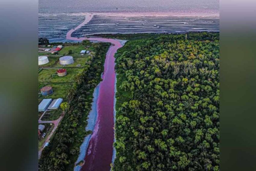 Fenomena Mencengangkan: Air Kanal di Argentina Berubah Merah Darah!