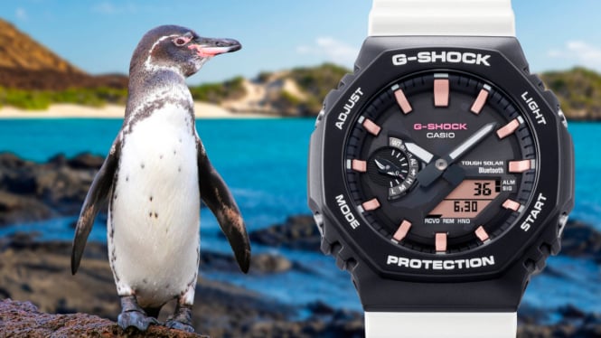 G-Shock x Charles Darwin Foundation Resmi Dirilis! Intip Harganya!