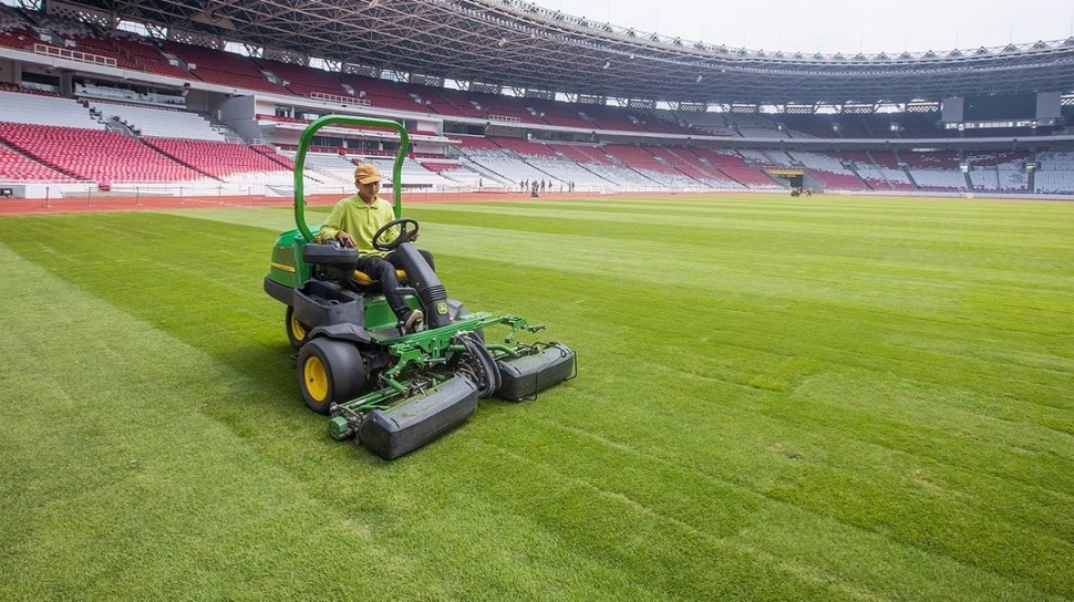 Gawat! Rumput GBK Terancam Tak Sempurna Saat Timnas Jamu Bahrain