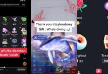 Harga Gift Cantik Deh di TikTok: 1 Koin Berapa Rupiah?