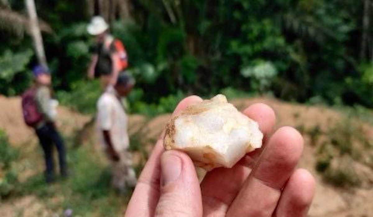 Ilmuwan Temukan Bukti Awal Manusia Hidup di Hutan Afrika 150 Ribu Tahun Lalu