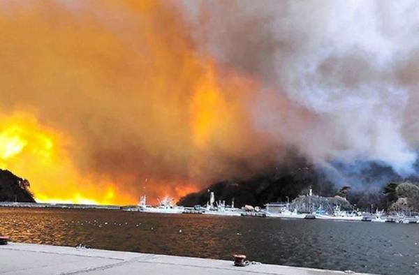 Jepang Terbakar: Kebakaran Hutan Ludeskan 600 Hektare, 84 Rumah Hancur!