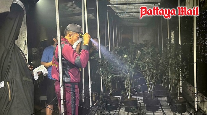 Kebakaran Kebun Ganja di Thailand Bikin Warga Teler dan Tertawa