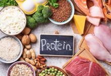 Kurang Protein Hewani: Anak Rentan Stunting dan Sulit Fokus!