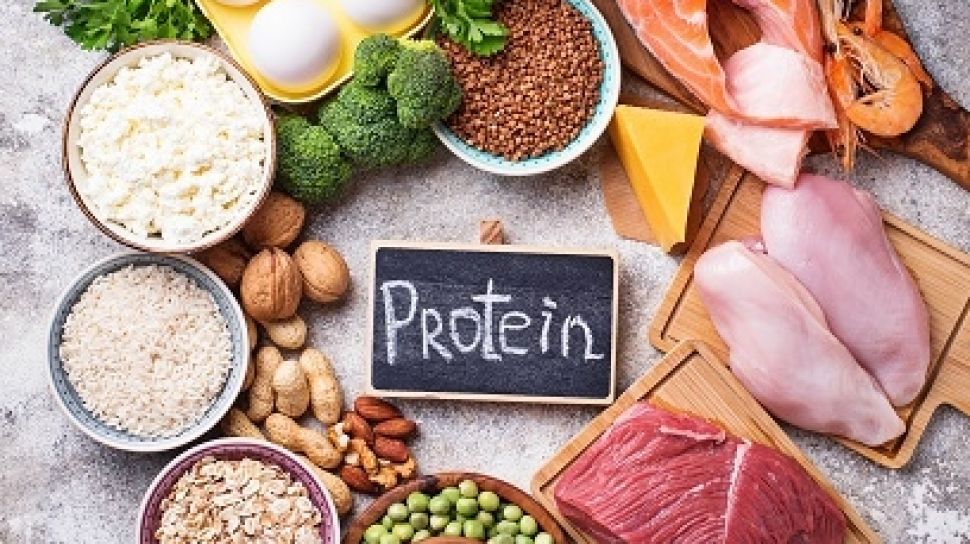 Kurang Protein Hewani: Anak Rentan Stunting dan Sulit Fokus!