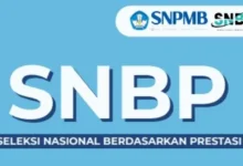 Panduan Lengkap: Cara Cek Kuota Prodi SNBP 2025 untuk PTN Vokasi!