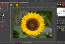 Panduan Praktis: Cara Install GIMP di Laptop dan PC dengan Mudah!