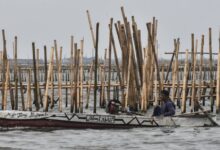 Pemerintah Beberkan Fakta Mengerikan Pagar Laut Bekasi, Data Ternyata Dimanipulasi!