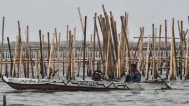 Pemerintah Beberkan Fakta Mengerikan Pagar Laut Bekasi, Data Ternyata Dimanipulasi!