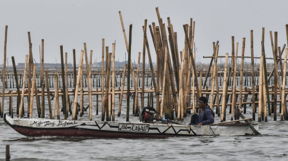 Pemerintah Beberkan Fakta Mengerikan Pagar Laut Bekasi, Data Ternyata Dimanipulasi!