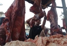 Pemerintah Cari Vendor Baru untuk Impor Daging Kerbau, Ini Alasannya!