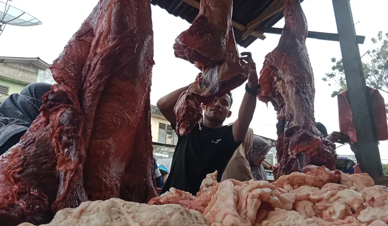 Pemerintah Cari Vendor Baru untuk Impor Daging Kerbau, Ini Alasannya!