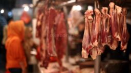 Pemerintah Diminta Antisipasi Kelangkaan Daging Sapi Jelang Ramadan