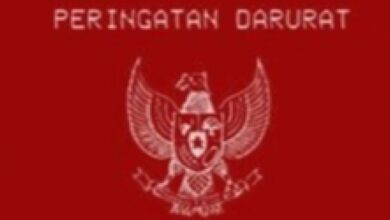 Peringatan Darurat Garuda Merah Trending: Apa Maknanya?