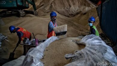 RI Siap Impor 200 Ribu Ton Gula untuk Cadangan Pangan Nasional