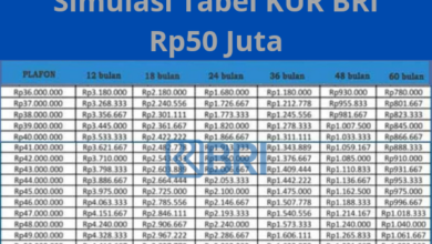 Raih KUR BRI 2025 Rp50 Juta untuk UMKM, Cicilan Mulai Sejutaan!