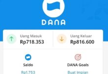 Raih Saldo DANA Gratis Rp164.000 dari 6 Aplikasi Survey!