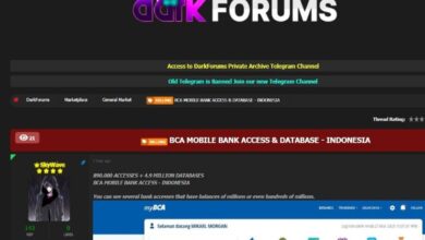 Ransomware: Bjorka Ungkap Target Baru BSI, Mandiri, dan BI!