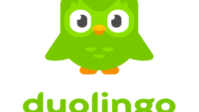 Si Burung Hantu Duolingo Mati, Respons Kocak Para Pengguna!