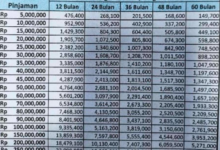 Terbaru! Tabel Angsuran Non KUR BRI 2025: Cair Rp45 Juta Mudah!