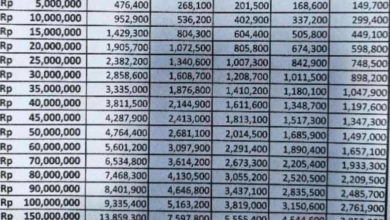 Terbaru! Tabel Angsuran Non KUR BRI 2025: Cair Rp45 Juta Mudah!