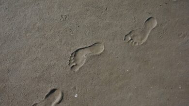 Terungkap! Misteri Jejak Kaki 4.000 Tahun Dekat Pompeii