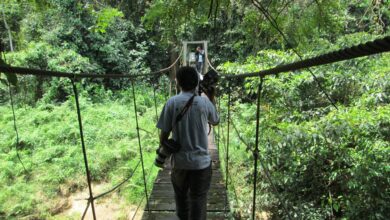 Upaya Pelestarian Keanekaragaman Hayati Taman Nasional Kutai