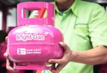 Viral! Bos Pertamina Bicara Soal LPG 3 Kg Pink Nonsubsidi