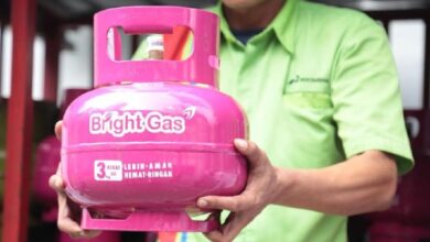 Viral! Bos Pertamina Bicara Soal LPG 3 Kg Pink Nonsubsidi