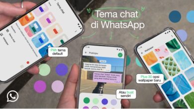 WhatsApp Perkenalkan Fitur Tema Chat untuk Personalisasi Pesan